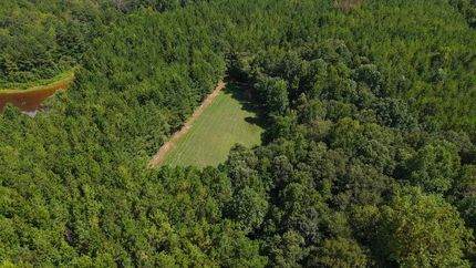 Land for sale in Crenshaw County, Alabama