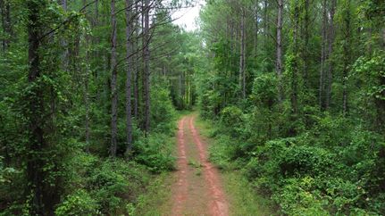 Land for sale in Tallapoosa County, Alabama
