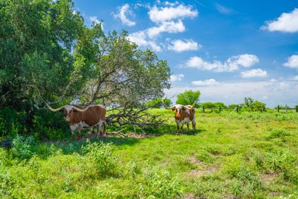 Land for sale in Colorado County, Texas