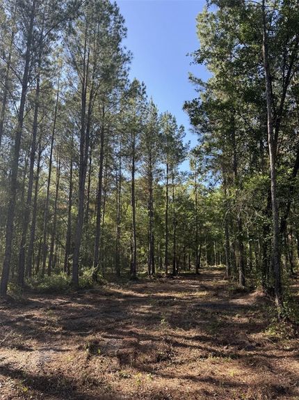 Farm and Ranch for sale in Union County, Florida