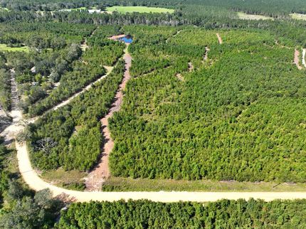 Undeveloped Land for sale in Toombs County, Georgia