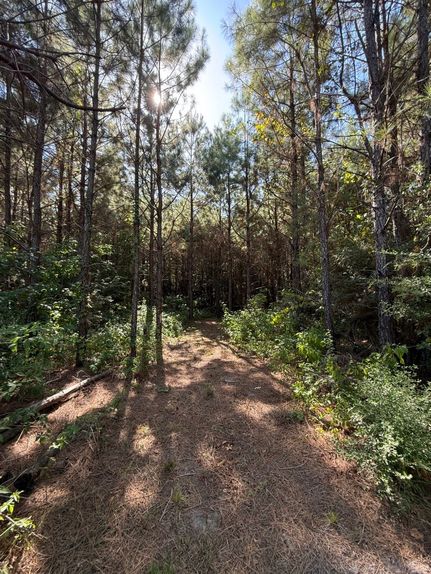 Timberland Property for sale in San Augustine County, Texas