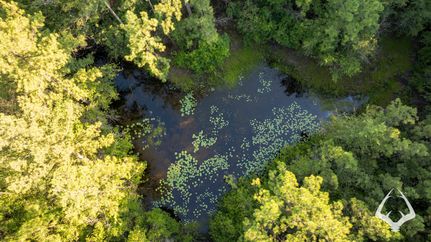 Land for sale in Newton County, Texas