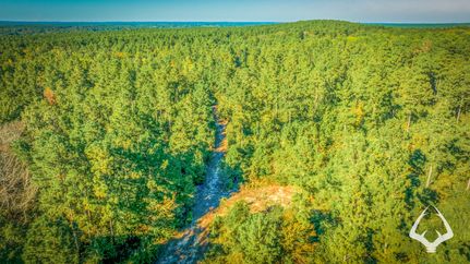 Undeveloped Land for sale in Rusk County, Texas