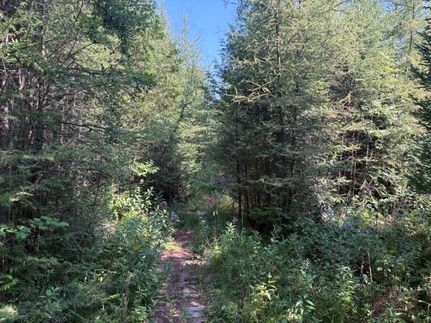 Timberland Property for sale in Shawano County, Wisconsin