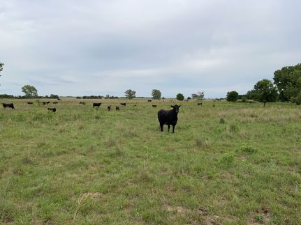 Land for sale in Holt County, Nebraska
