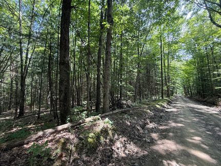 Land for sale in Tioga County, New York
