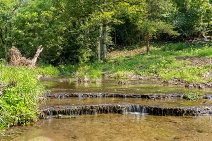 Land for sale in Clay County, Tennessee