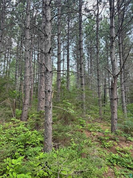 Undeveloped Land for sale in Cook County, Minnesota