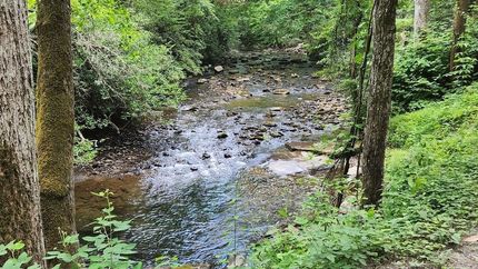 Land for sale in Polk County, Tennessee