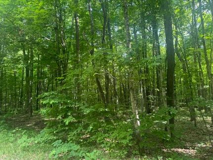 Land for sale in Antrim County, Michigan