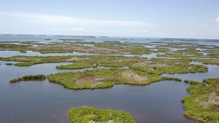 Farm and Ranch for sale in Citrus County, Florida