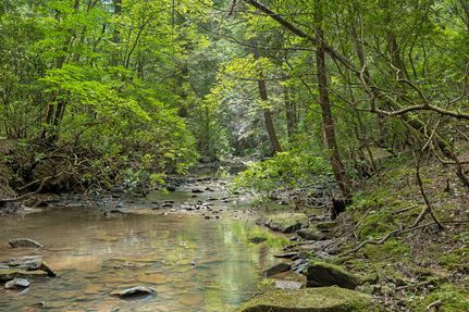 Farm and Ranch for sale in Scott County, Tennessee