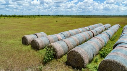 Commercial Property for sale in San Patricio County, Texas