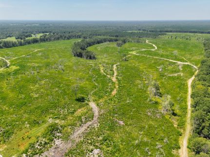 Timberland Property for sale in Macon County, Alabama