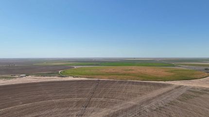 Land for sale in Moore County, Texas