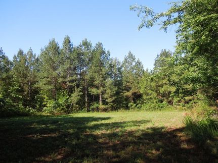 Land for sale in Mecklenburg County, Virginia