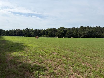 Land for sale in Cass County, Texas