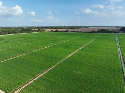 Land for sale in Quitman County, Mississippi