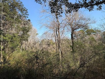 Land for sale in Baldwin County, Alabama