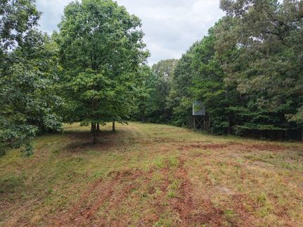Land for sale in Polk County, Arkansas