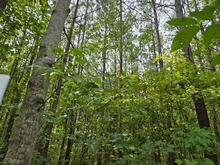 Farm and Ranch for sale in Buckingham County, Virginia