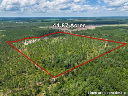 Land for sale in Telfair County, Georgia