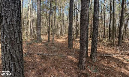 Undeveloped Land for sale in Coffee County, Alabama