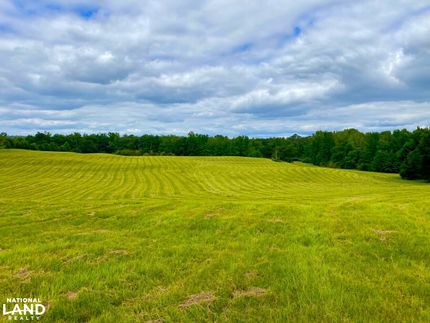 Land for sale in Tuscaloosa County, Alabama