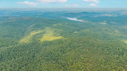 Timberland Property for sale in Reynolds County, Missouri