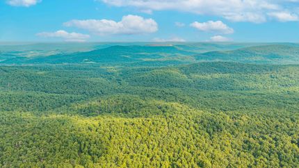 Land for sale in Reynolds County, Missouri