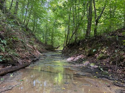 Land for sale in Breathitt County, Kentucky