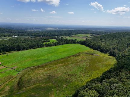 Undeveloped Land for sale in Greene County, New York