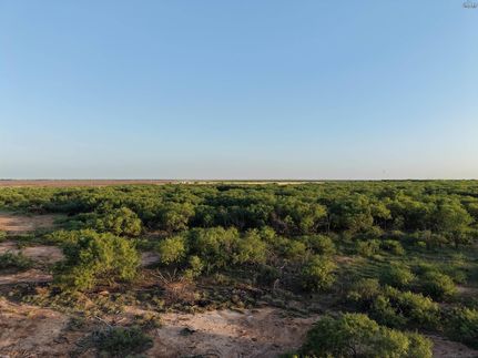 Undeveloped Land for sale in Archer County, Texas