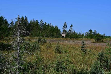 Land for sale in Delta County, Michigan