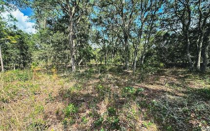 Land for sale in Levy County, Florida