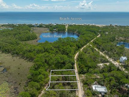 Undeveloped Land for sale in Franklin County, Florida