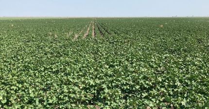 Land for sale in Seward County, Kansas