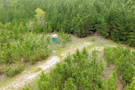 Land for sale in Grant County, Arkansas