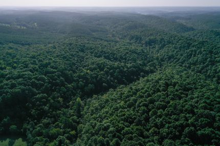 Land for sale in Polk County, Arkansas
