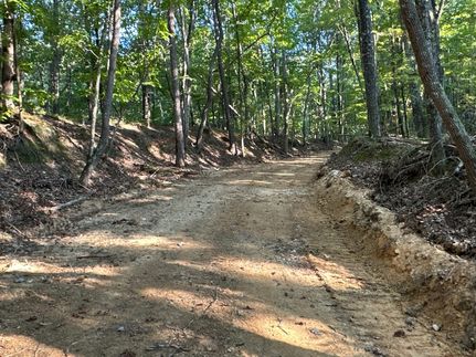 Land for sale in Polk County, Georgia