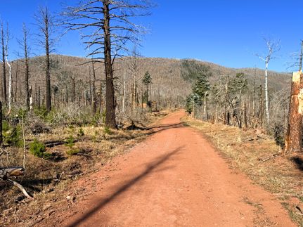 Homesite for sale in Costilla County, Colorado
