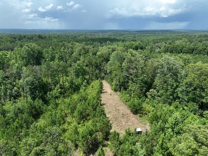 Land for sale in Randolph County, Alabama