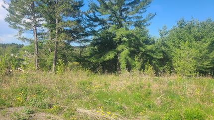 Undeveloped Land for sale in Aroostook County, Maine