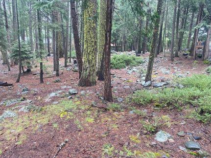 Recreational Property for sale in Plumas County, California