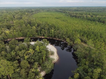 Land for sale in Ware County, Georgia