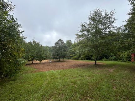 House for sale in Wilkinson County, Georgia