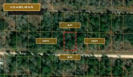 Homesite for sale in Levy County, Florida