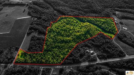 Land for sale in Metcalfe County, Kentucky