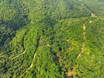 Land for sale in Letcher County, Kentucky
